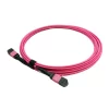 MPO trunk cable violet