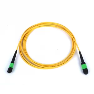 SM MPO trunk cable