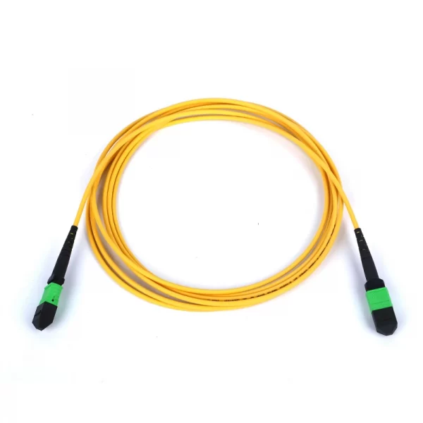 SM MPO trunk cable