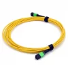 SM MPO trunk cable MPO