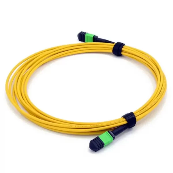 SM MPO trunk cable MPO